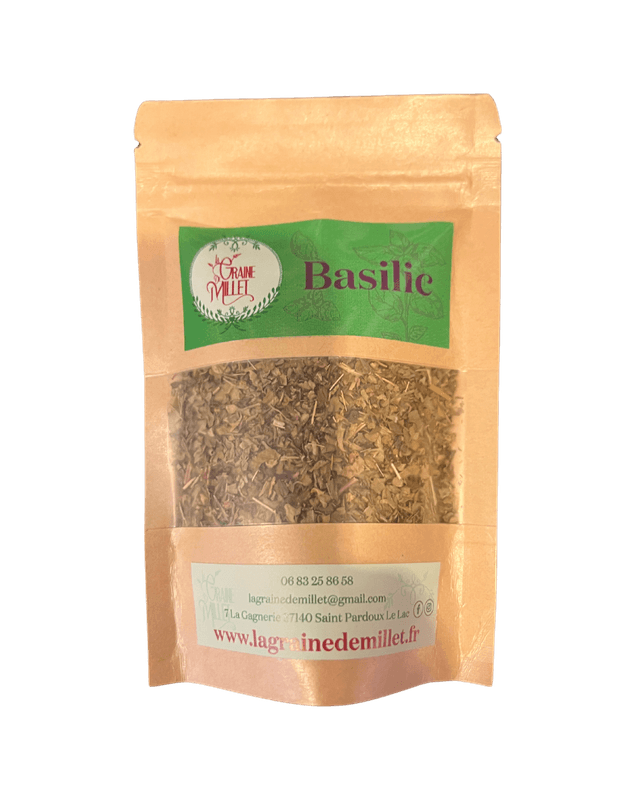 Basilic