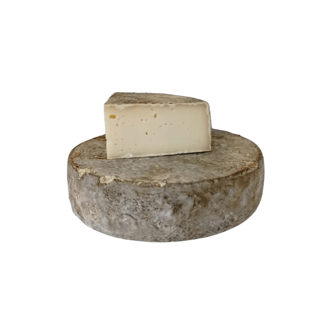 Sourcier Jeune 🧺