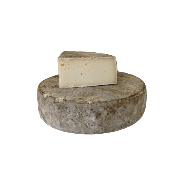 Sourcier Jeune 🧺