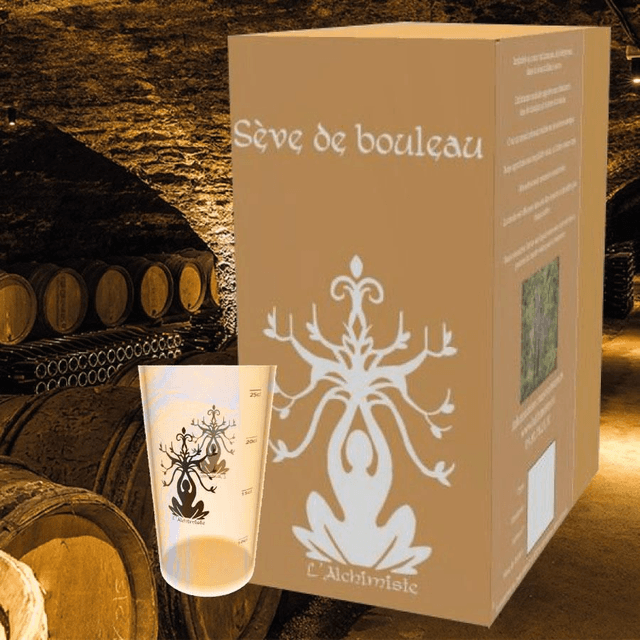 Sève de bouleau lactofermenté bio 3 L