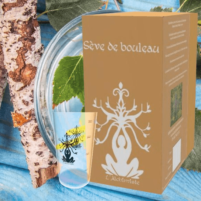 Sève de bouleau fraîche bio 3L - Récolte 2026