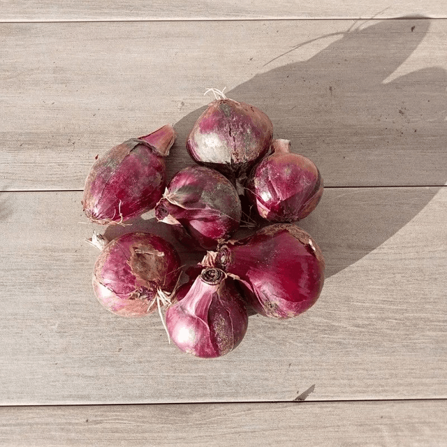 Oignons rouges 500g 🧺