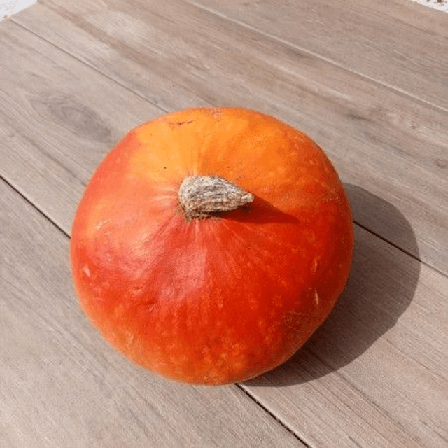 Potimarron 🧺